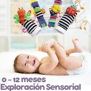 0-12 Meses: Exploración Sensorial